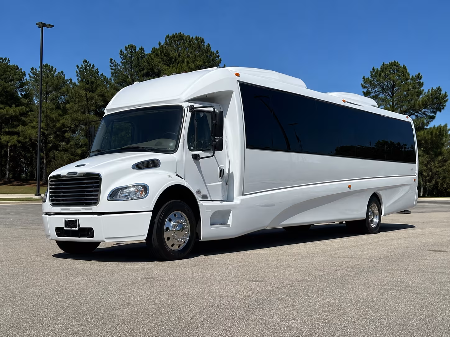 Group beside a Mercedes Sprinter limo in Detroit