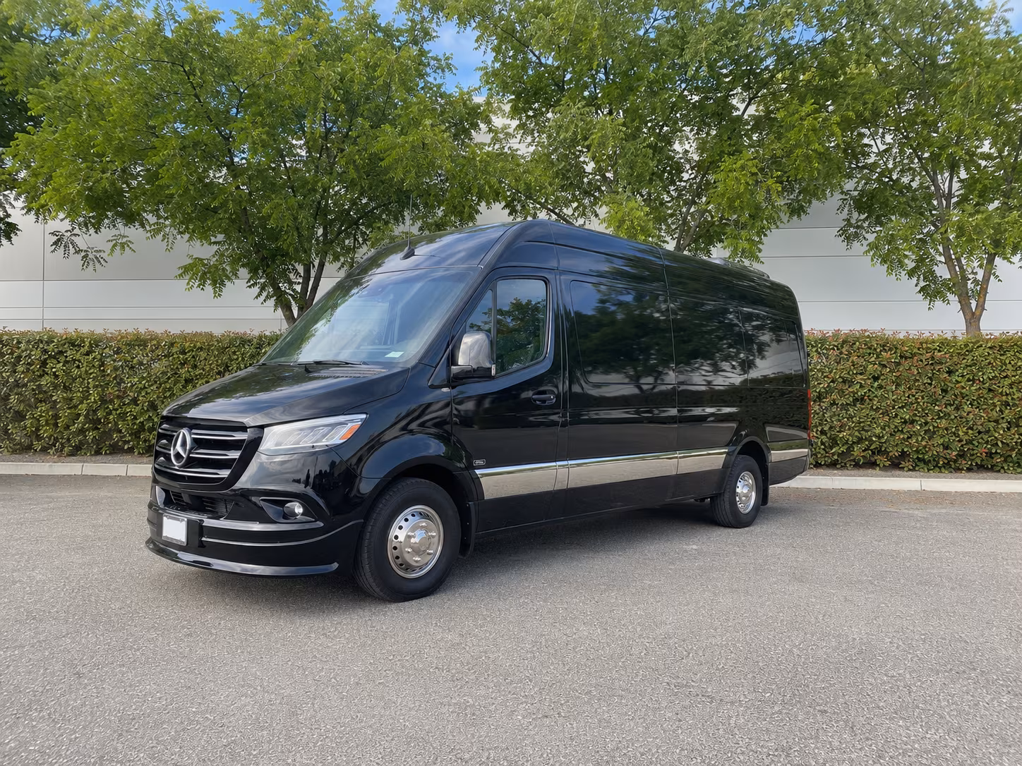 14 Passenger Sprinter Limo