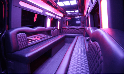 Wyoming 14 Passenger Sprinter Bus Interior