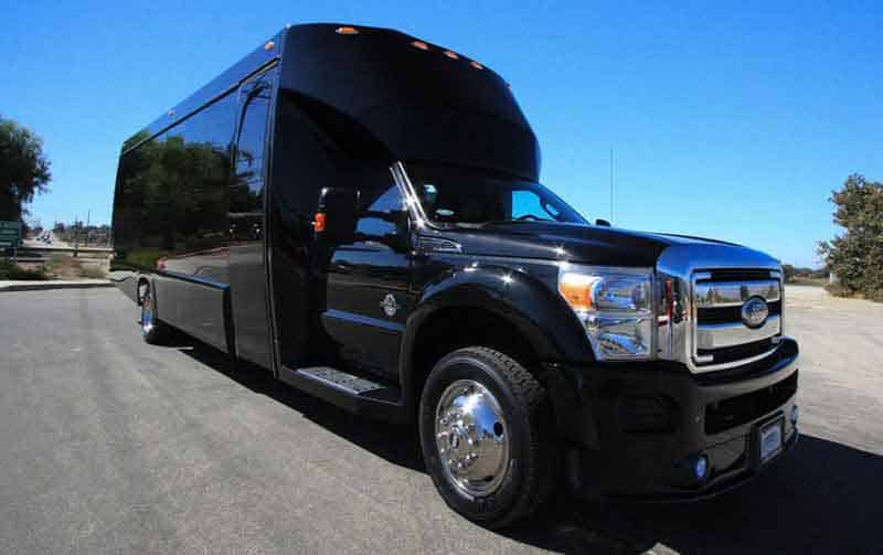 Lansing 30 Passenger Party Bus Black